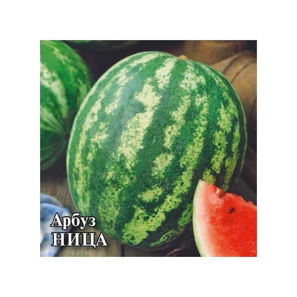 Семена Арбуз Ница 10 г