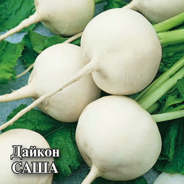 Семена Дайкон Саша 50 г