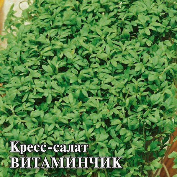 Кресс-салат Витаминчик, ранний 100,0 г