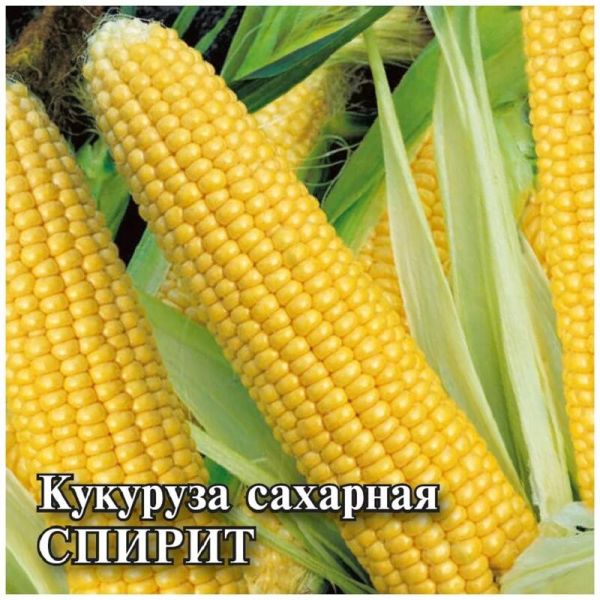 Семена Кукуруза Спирит F1 сахарная 50 г