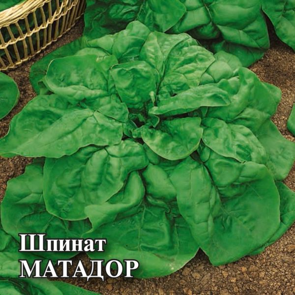 Шпинат Матадор 25,0 г