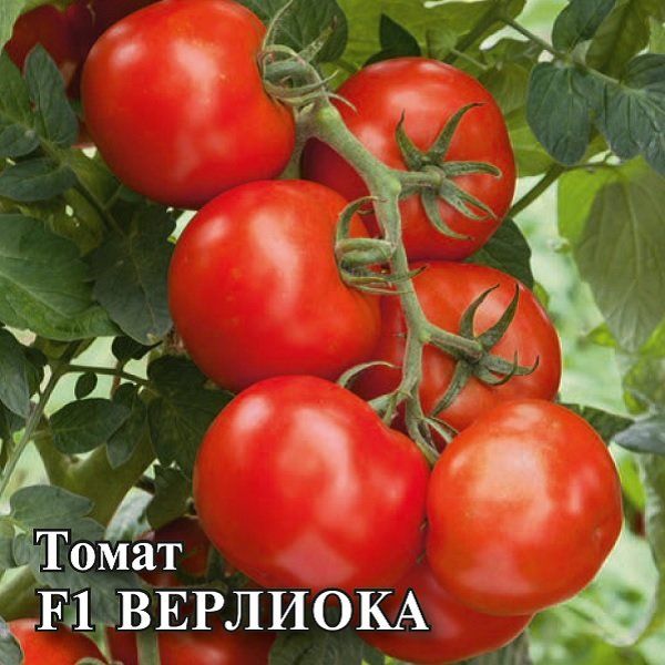 Томат Верлиока F1 100 шт.