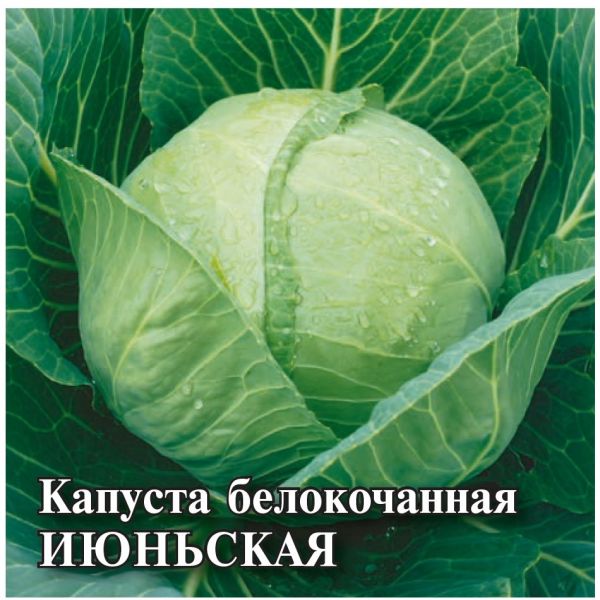 Капуста белокоч. Июньская 25,0 г (ранняя)