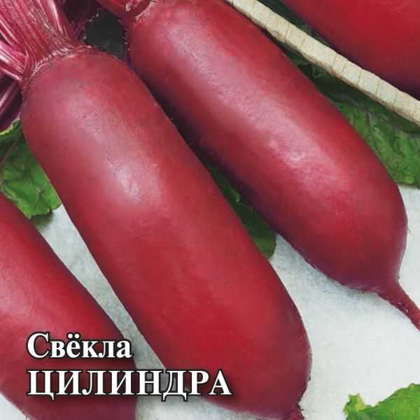 Семена Свекла Цилиндра 50 г