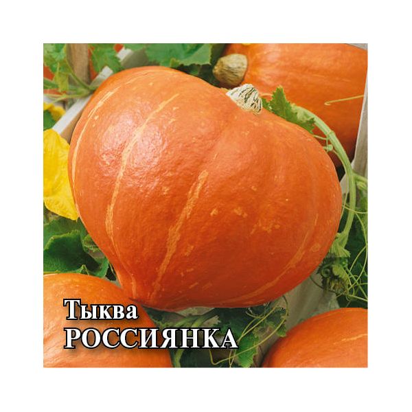 Тыква Россиянка 25,0 г