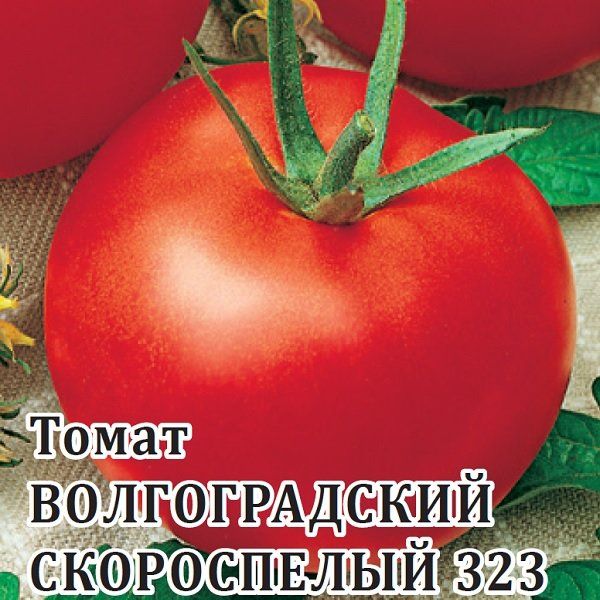 Томат Волгоградский скороспелый 323 25,0 г