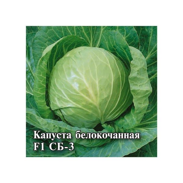 Семена Капуста белокочанная СБ-3  F1 25 г