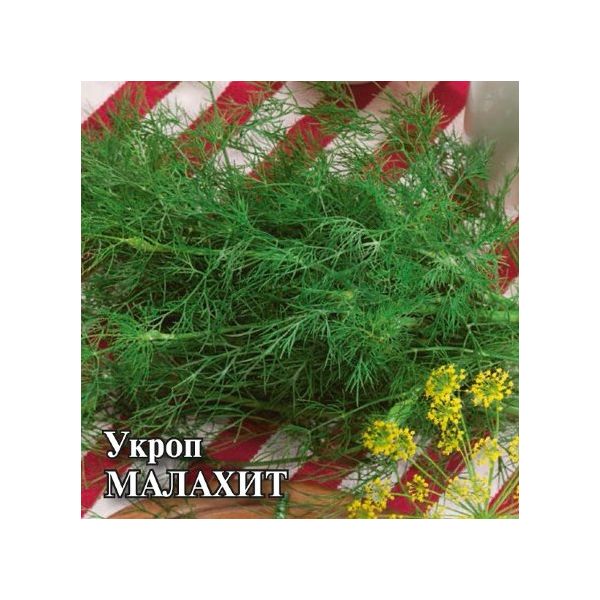 Семена Укроп Малахит 25 г
