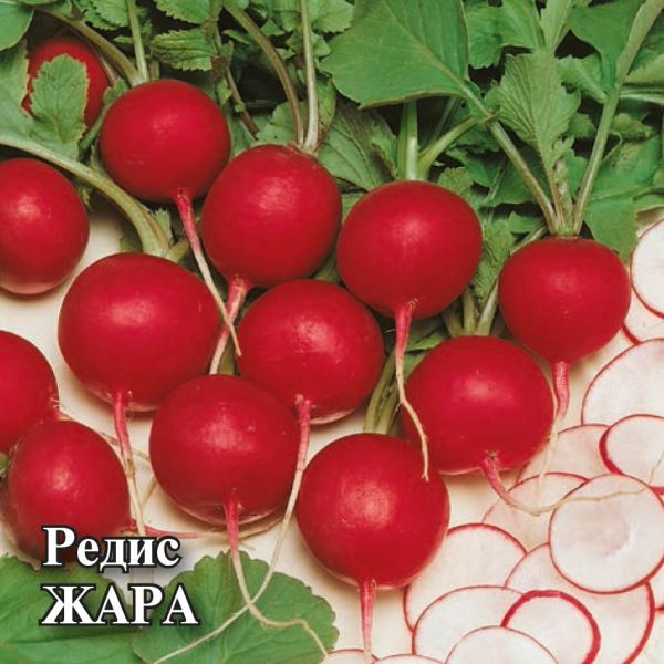 Семена Редис Жара 25 г
