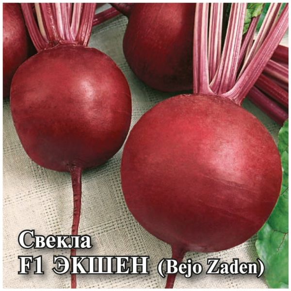 Семена Свекла Экшен F1 25 г Голландия