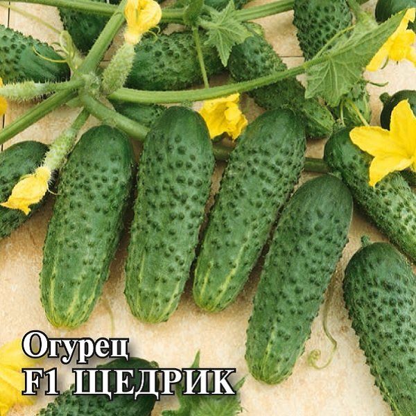 Огурец Щедрик F1 100 шт. пикуль