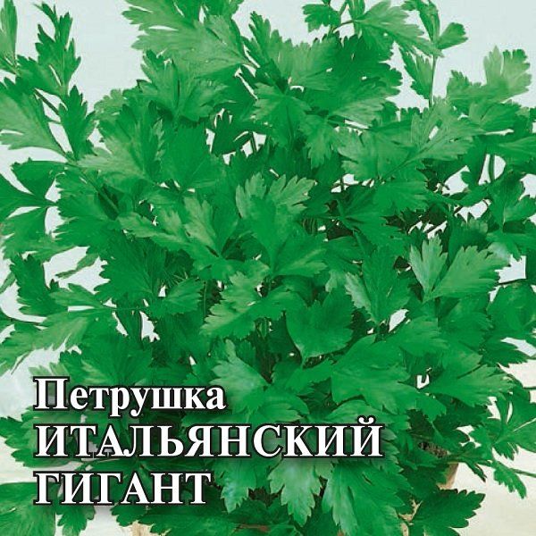Петрушка Итальянский гигант 25,0 г