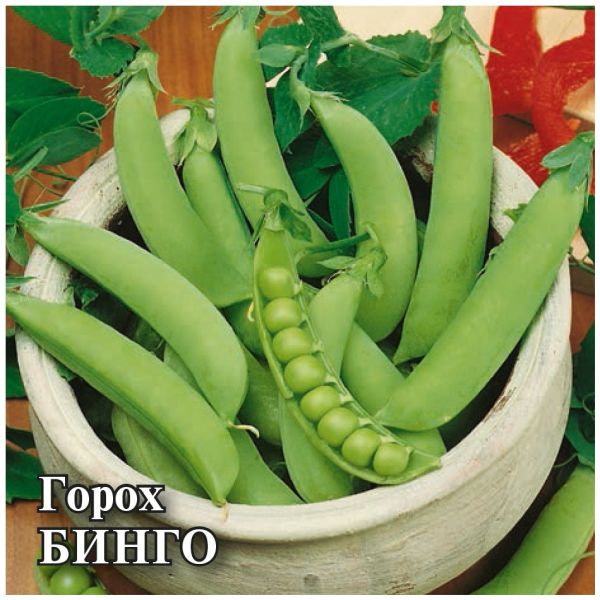 Семена Горох Бинго 50 г Голландия