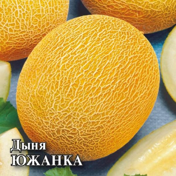 Семена Дыня Южанка 25 г