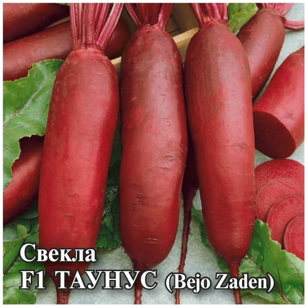 Семена Свекла Таунус F1 10 г Голландия