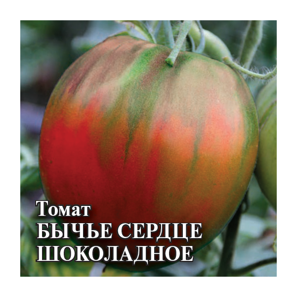 Томат Бычье сердце шоколадное 25,0 г