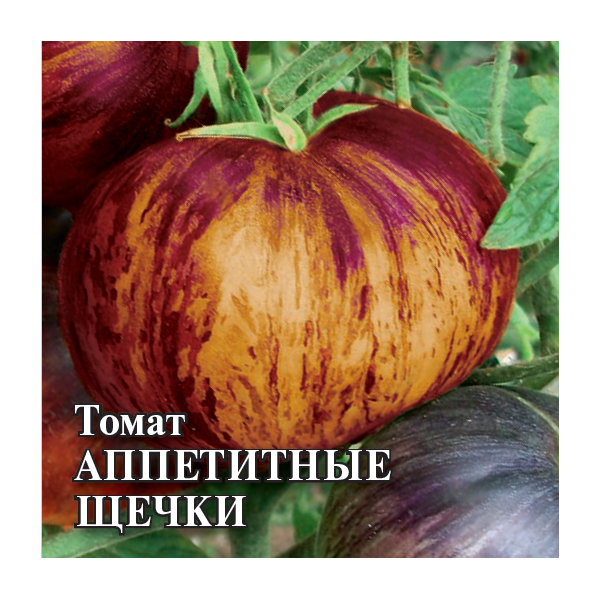 Томат Аппетитные щечки (фиолетово-желтый биколор)  5,0 г