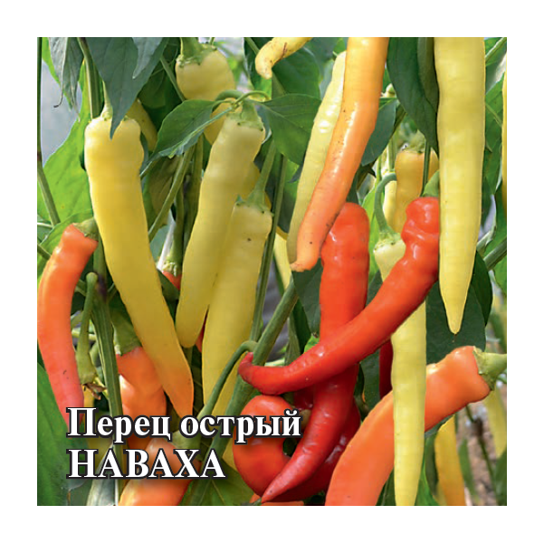 Семена Перец острый Наваха 5 г