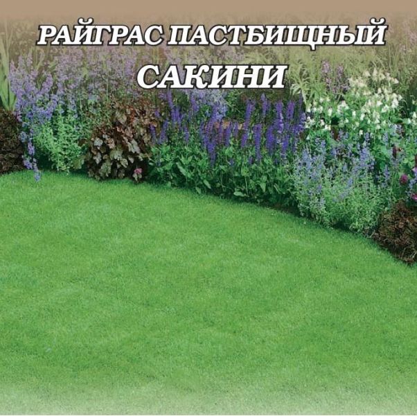 Семена Райграс пастбищный Сакини 1 кг