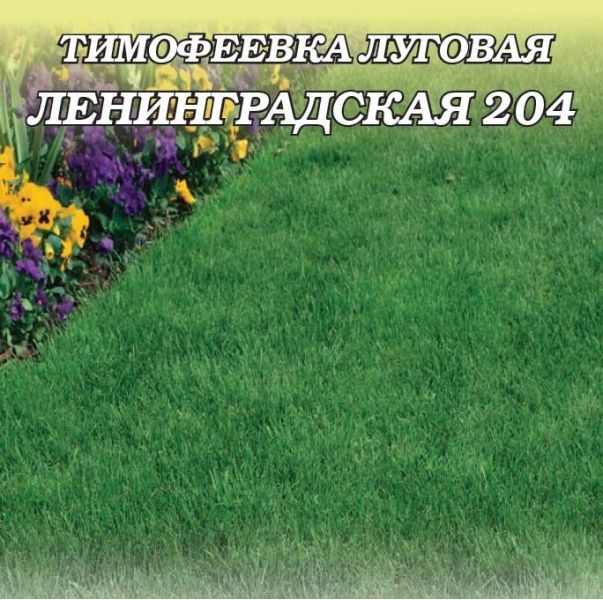 Семена Тимофеевка луговая Ленинградская 1 кг