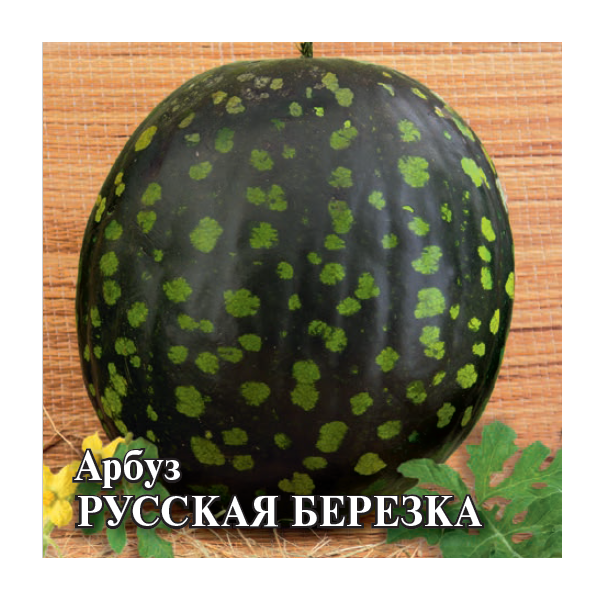Семена Арбуз Русская березка 50 г