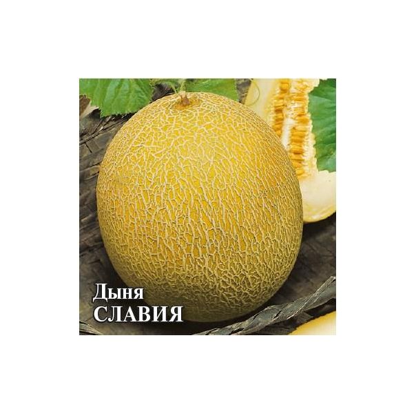 Семена Дыня Славия 100 г