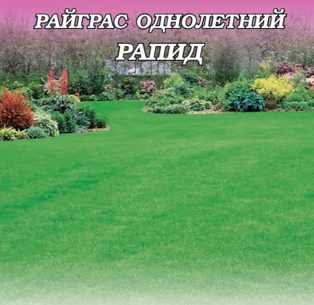 Семена Райграс однолетний Рапид 1 кг